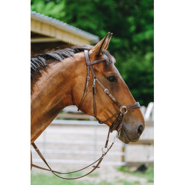 Bridon Bitloos Norton Havana Bruin