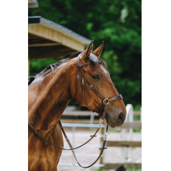 Bridon Bitloos Norton Havana Bruin