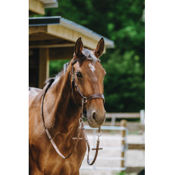 Bridon Bitloos Norton Havana Bruin