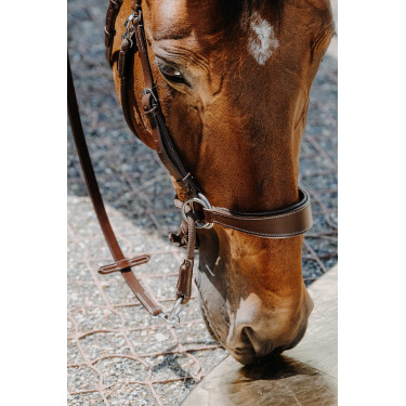 Bridon Bitloos Norton Havana Bruin