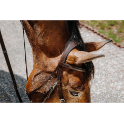 Bridon Bitloos Norton Havana Bruin
