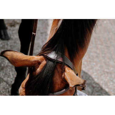 Bridon Bitloos Norton Havana Bruin