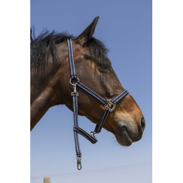 Licol Norton Grooming Marineblauw Licol Norton Grooming Marineblauw