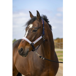 Halster Equithème Nylon Check Halster Equithème Nylon Check