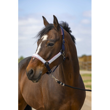 Halster Equithème Nylon Check Halster Equithème Nylon Check