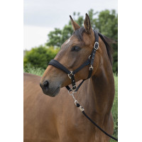 Halster + leadrope Norton Large Zwart