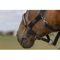 Halster Equithème Nylon Chevron Zwart