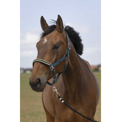 Halster Equithème Nylon Chevron Halster Equithème Nylon Chevron