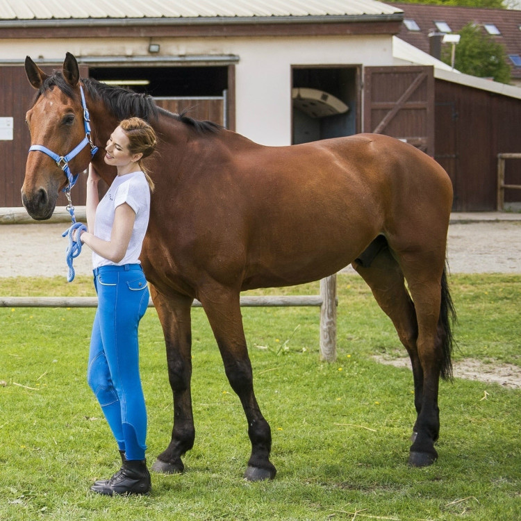 Equithème Verona Damesbroek Equithème Verona Damesbroek