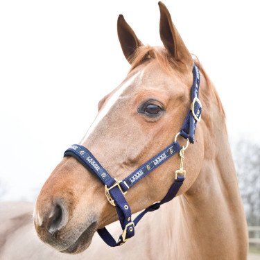 Halster Hamptons Horze Blauw