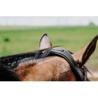 Bridon Freedom Norton Zwart Bridon Freedom Norton Zwart