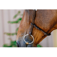 Bridon Freedom Norton Zwart