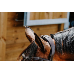 Bridon Freedom Norton Havana Bruin