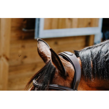 Bridon Freedom Norton Havana Bruin