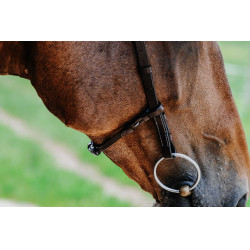 Bridon Freedom Norton Havana Bruin