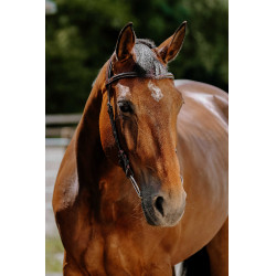 Bridon Freedom Norton Havana Bruin