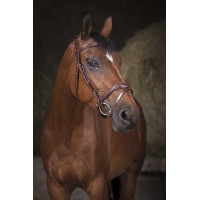 Bridon Norton Pro Golvend Zwart