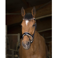 Bridon Norton Pro Bella Zwart