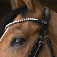 Bridon Norton Pro Bella Zwart