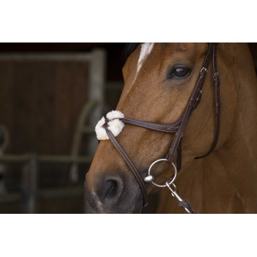 Bridon Norton Pro met kruisneusriem Bridon Norton Pro met kruisneusriem