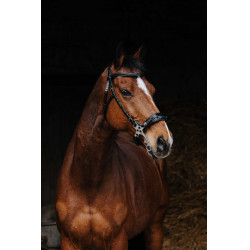 Bridon Norton Pro Hackamore Zwart