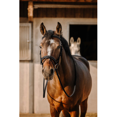 Bridon Eric Thomas Werk Zwart