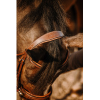 Bridon Eric Thomas Werk Havana Bruin