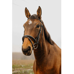 Bridon Norton Club Plein Zwart Bridon Norton Club Plein Zwart