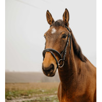 Bridon Norton Club Plein Havana Bruin