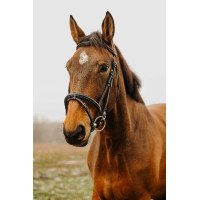 Bridon Norton Club Easy Zwart Bridon Norton Club Easy Zwart