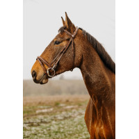 Bridon Norton Club Easy Zwart Bridon Norton Club Easy Zwart