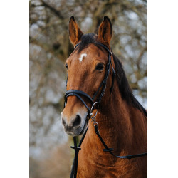 Bridon Norton Training Zwart