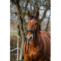 Bridon Norton Training Zwart Bridon Norton Training Zwart