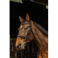 Bruid Norton Basal Zwart