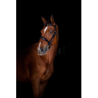 Bruid Eric Thomas Elite Zwart Bruid Eric Thomas Elite Zwart