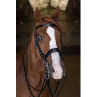 Bruid Eric Thomas Elite Zwart Bruid Eric Thomas Elite Zwart