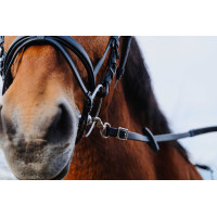 Rubberen teugels Norton Training PVC Zwart Rubberen teugels Norton Training PVC Zwart