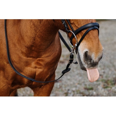 Rubberen teugels Norton Training PVC Rubberen teugels Norton Training PVC