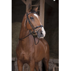 Teugels Norton Pro Supergrip Zwart