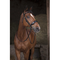 Norton Pro teugels 16 mm Zwart