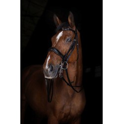 Teugels van hoofdstel Eric Thomas Elite 13 mm