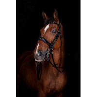 Eric Thomas Elite trensenteugels 16 mm Zwart Eric Thomas Elite trensenteugels 16 mm Zwart