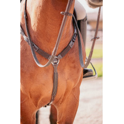 Martin collier Pénélope Havana Bruin