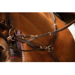 Pénélope Howlett hulpteugel Havana Bruin