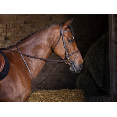 Vaste martingaal Riding World