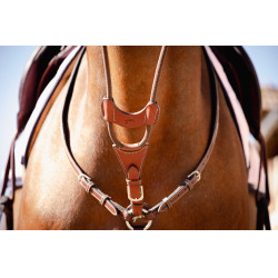 Martingaalriem Pénélope Bip Light US elastisch Hazelnoot Bruin Martingaalriem Pénélope Bip Light US elastisch Hazelnoot Bruin