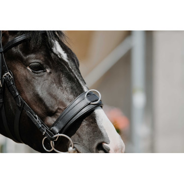 Brede cavesson Norton Brede cavesson Norton