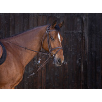 Katrolblok Riding World Havana Bruin