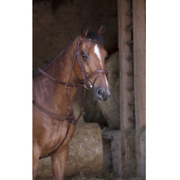 Elastische martingaal Norton Pro Havana