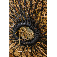 Hooinet Hippotonic Hot temperature Zwart